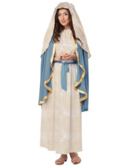 Adult The Virgin Mary Costume
